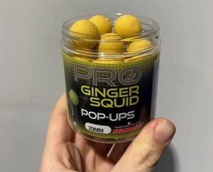 Starbaits Pop Up Probiotic Ginger Squid 60g